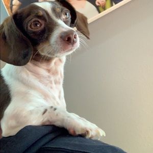 Meet your Posher, Kurtis